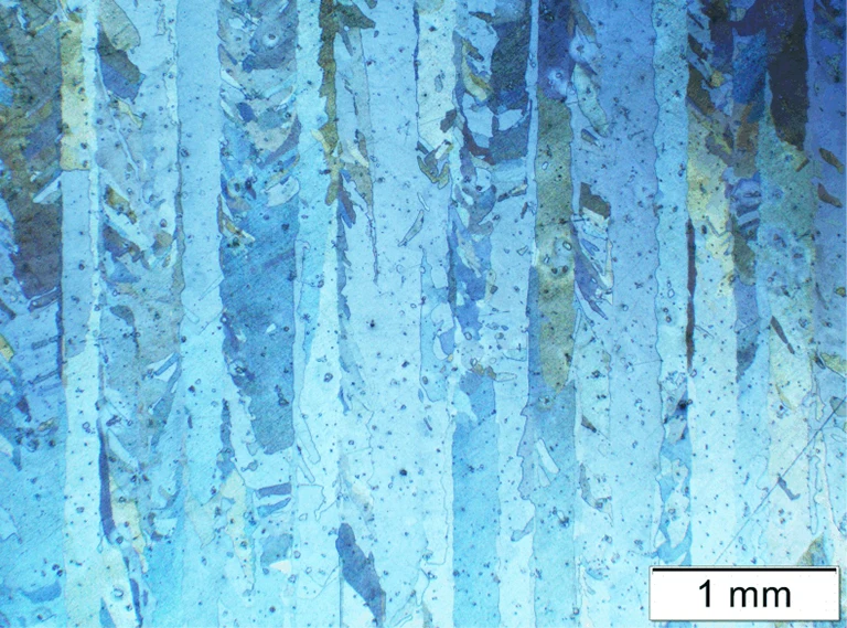 Mikroskopische Aufnahme mit polarisiertem Licht, die längliche blaue und gelbe Mineralkristalle mit vertikaler Ausrichtung, verstreute kleine dunkle Flecken und einen Maßstabsbalken von 1 Millimeter als Referenz zeigt.